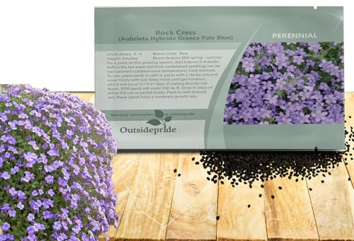 Outsidepride Pale Blue Aubrieta Rock Cress Seeds - 10000 Pcs Perennial Flower Seeds, Easy to Grow, Low Maintenance, Cascading & Low Growing, for Baskets, Rock Walls, or Ground Covers