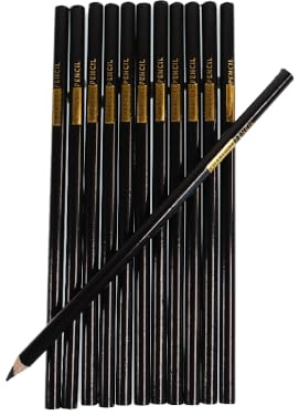 The Home Fusion Company 12 x Artist Charcoal Pencils Drawing Sketching Shades Art Artist Pencils Craft