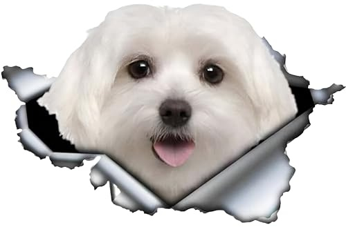 Autoaufkleber Malteser Aufkleber 15cm(5.9 Inch) Maltese Car Sticker 3D Zerrissen Reflektierende Autoaufkleber Wasserdichte Haustier Hund Aufkleber Laptop Stoßstange Heckscheibe Dekor