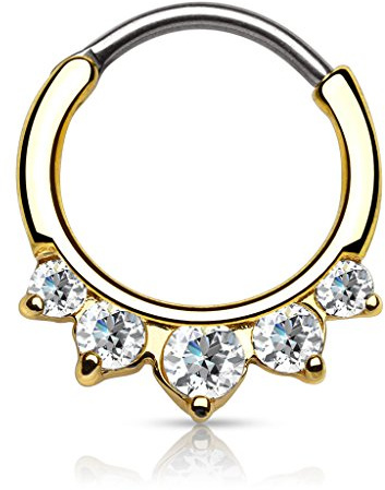 Autiga Nasenpiercing Septum Ring Clicker Nasenring Klapp Piercing Nase Zirkonia Kristall Chirurgenstahl
