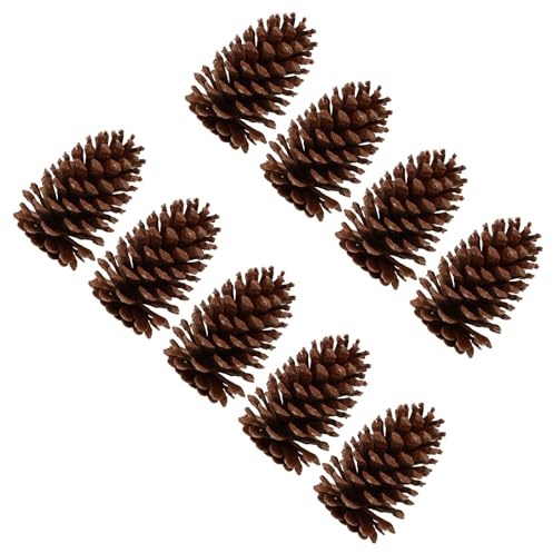 HAMPPLIES 9pcs Pomme de Pin Naturelle Séchée pour Décoration Chic et Pratique Vacances, Matériau Pin Véritable Marron Ambiance Décorative Vivante