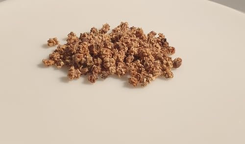 150 graines à semer - Le Grenier d'Abondance - Betterave Noire d'Egypte (Plate) - Beta vulgaris