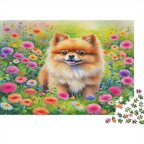 Pomeranian Puzzle 1000 Pezzi per Adulti Prato Fiorito Gioco di Puzzle 1000 Pezzi Relax Arredo Regalo 52x38cm/1000pcs