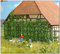 Busch Environnement - BUE1264 - Modélisme - Vigne Sauvage