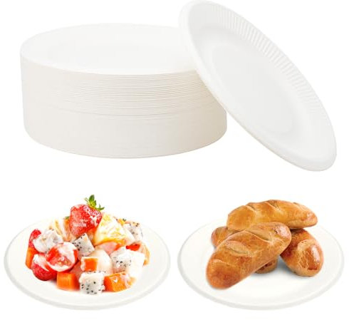 HENGBIRD Pack de 100 platos de platos desechable de 18 cm platos desechables biodegradables aptos para fiestas picnics barbacoas cumpleaños bodas y otros eventos color blanco