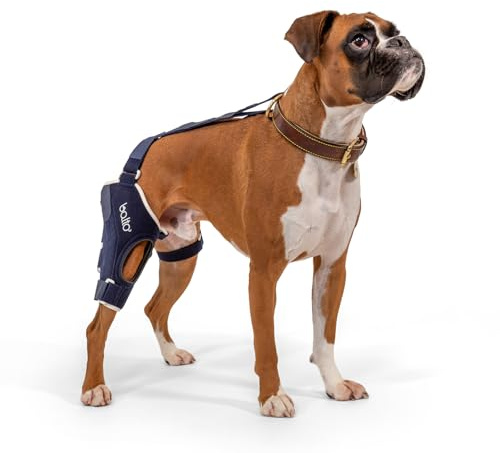KNIEORTHESE (KNIESCHÜTZER) RECHTS FÜR HUNDE BALTO BT JUMP GROBEN L