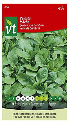 Green Lamb's Lettuce Seeds per gram - Small Round Dark Green Leaves in Rosettes - 3 g - Seeds per gram: 1000
