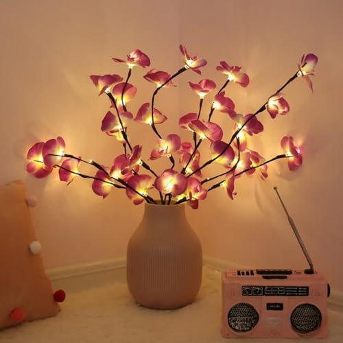 Ulalaza 70cm 2 Branches 40 LED Bulbs Twig Lamp Battery Operated LED Lighted Willow Branches Vase Fillers Use for Christmas Home Party Decoration Indoor Outdoor