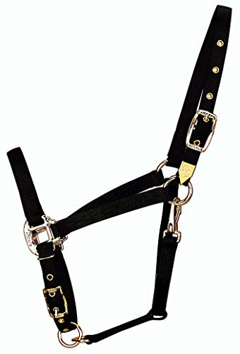 Hamilton 3/10,2 cm Nylon Arabian Cavezza di Regolabile sul Mento e Gola Snap