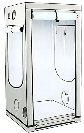 Weedness HOMEbox Ambient Q100 100x100x200 cm - Zuchtzelt Growschrank Growzelt Zuchtbox Gewächszelt Homebox Lichtdicht Anbau Grow Indoor