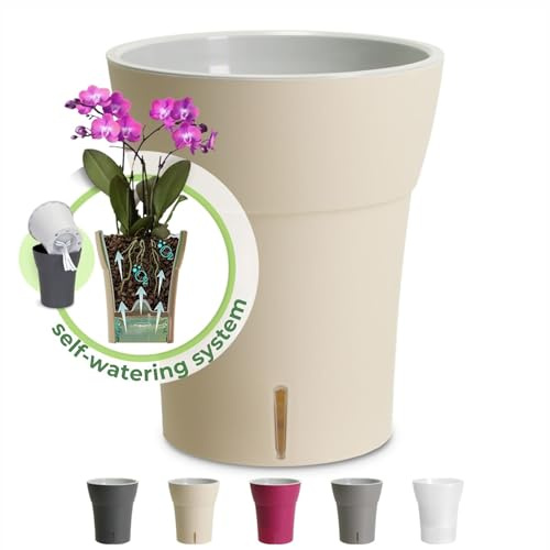 Happyplants Happy Plants DALI-DEA Clear Orchid Self-Watering Flower Pot Planter With Water Level Indicator Water Reserve And Drainage Holes (Ø12.5CM Ø15CM Ø16.5CM) (Canvas, Ø 12.5CM - 1.25L)
