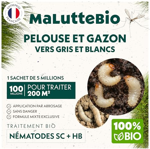 Nématodes pelouse et gazon - Traitement contre les larves de Tipules (vers gris ou Cousin) - 100% naturel. Traite les tâches jaunes du gazon (Pour 200m² (100 millions))
