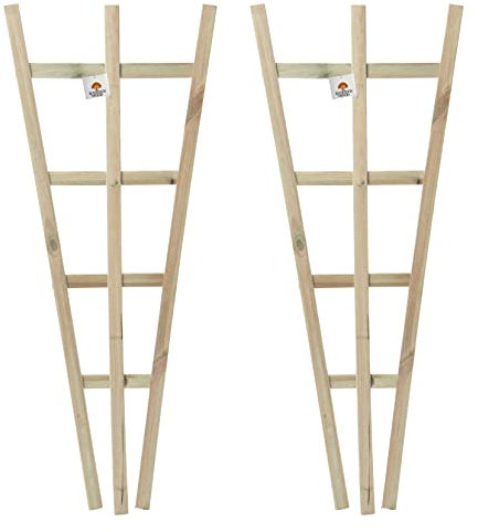 Wooden Fan Wall Trellis Climbing Plant Support Timber Trellises Wood Garden Outdoor Fence Frame 100cm Set of 2