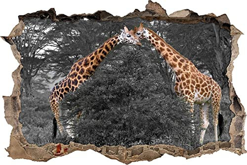 3D Wall Stickers Art Special Effect View Outside The Cracked Wall Decorative Removable DIY Vinyl Giraffe Wall Decals Wall Tattoo for Kids Bedroom Living Room Mural 80x120cm