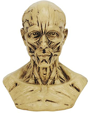 FakeFace Statuetta in resina schizzo 15 cm Statua in gesso Apollo Testa Busto Statua Scultura Casa Ufficio Arte Artigianato Arredamento Classe Greca Mitologia Idolo Ritratto Ornamenti da scrivania