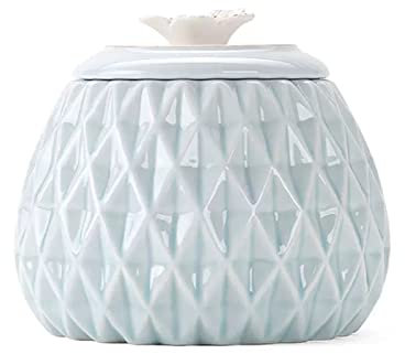 Latas de Té Lata de té de cerámica con forma de piña, lata sellada, lata de almacenamiento de té for el hogar, lata de almacenamiento de té, caja de té china, lata de almacenamiento de té, 500 ml Bote