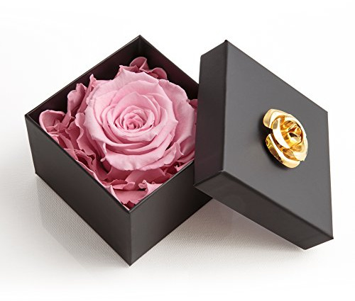 ROSEMARIE SCHULZ Heidelberg Ewige Rose Rosa in Box - Rosenbox 8,5x8,5cm 1 echte Rose haltbar 3 Jahre in Blumenbox - Valentinstag für Beste Freundin Rose