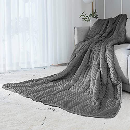 ALANSMA Reversible Weighted Blanket for All Season, Luxury Velvet, Warm and Cool, Adult Kids 5Lb Weighted Blanket, Enjoy Sleeping Anywhere(Grey,36x48 5lbs)