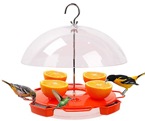 Solution4Patio Baltimore Oriole Feeder Hummingbird Combination, 3 Types Food, Orange, Grape Jelly, Nectar, 34-Ounce Nectar Capacity, Weather Guard Squirrel Baffle