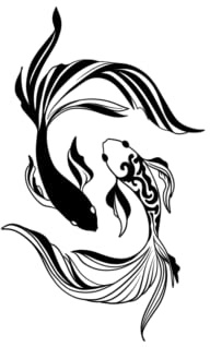 Koi Yin yang (10cm x 10cm) - Tatouage ephémère homme/femme - Waterproof - Tatouage temporaire 2 semaines - The Flash Tattoo