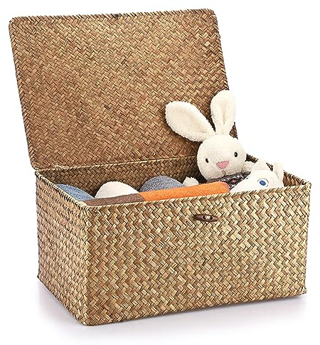 Hipiwe Wicker Shelf Baskets Bin with Lid, Handwoven Seagrass Basket Storage Bins Rectangular Household Basket Boxes for Shelf Wardrobe Home Organizer, Coffee X-Large