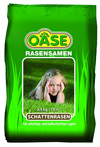 Grüne Oase GO-130 Graines de gazon ombragé, 2,5 kg, vert