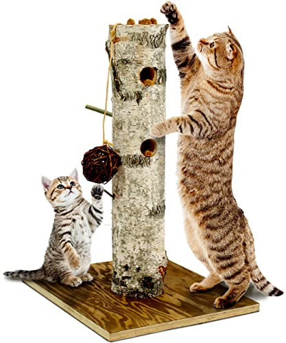 JR FARM Cat 'BtI' Nature Active-Tree