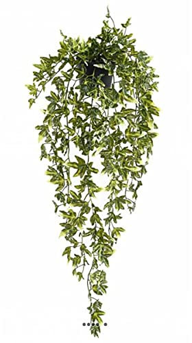 Artificielles.com - Artificial Ivy Plastic Falling in Pot for Outdoor Use L 70 cm Variegated