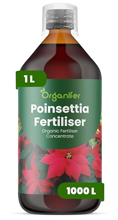 Fertilizzante Liquido Per Stella Di Natale 1L – Concime Organico Per Foglie Colorate E Crescita Sana – Rafforza Radici E Vitalità – Organifer