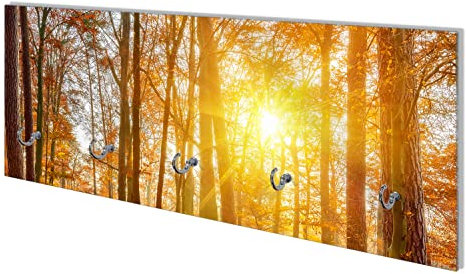 Wallario Wandgarderobe aus Glas in Größe 80 x 30 cm mit Memoboard-Funktion, Motiv: Sonnenuntergang im herbstlichen Wald | 5 Kleiderhaken zum Aufhängen von Jacken