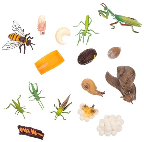 Toyvian 4 Sätze Insektenmodell Statue Mikrospielzeug Ausstellungsmodell kinderzimmerdeko Room Decoration Modelle Insektenevolutionsmodell Insektenfigurenmodell Tier einstellen Plastik