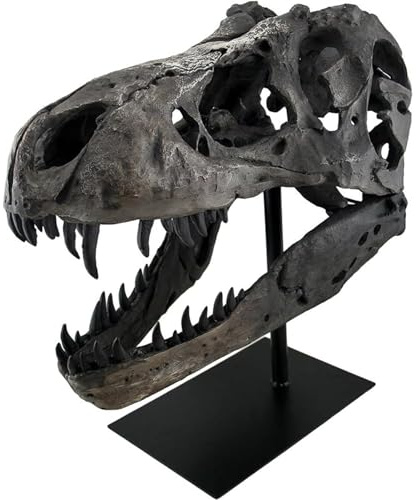 JOTNBOBO Dinosaurie dödskalle staty, dinosaurie skulpturer fäste Tyrannosaurus skalle kopia dekoration skalle ben harts kopia med fäste för hem kontor dekor hylla display