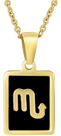 GONMFKM Charm Zodiac Sign Necklace 12 Constellations Square Symbol Pendant Sweater Chain,Fashion Charm Jewellery Gifts Accessories For Women Girls Men,Scorpio,Adjustable