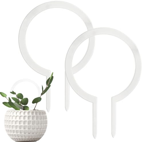 wiroouia Traliccio per piante da interno, 2 pezzi, in acrilico, supporto per piante rampicanti, paletti trasparenti, supporto decorativo per edera, pothos, balcone