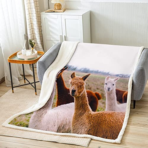 Loussiesd Tierthema Decke 150x200cm 3D Lama Alpaka Drucken Kinder Jugend Kuscheldecke Ultra weich Mikrofaser Argentinien Tiere Natur Wohndecke Lama Muster Dekorativ Flanell Fleecedecke