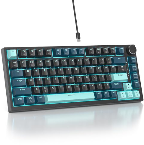SOLIDEE Verkabelte 75% Mechanische Gaming-Tastatur,hot-swap-fähige Mechanische Tastatur mit Gasket Struktur,RGB-Hintergrundbeleuchtung,82 Tasten Kompakt TKL Tastatur mit Drehknopf(82 Monstor(B))