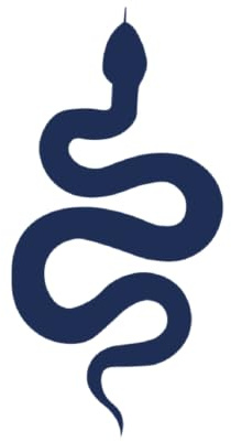 Tattwo.me – Temporäre Tattoos für Erwachsene und Kinder, hält 2 Wochen, wasserfest – Schlange – Pflanzliche Tinte – EU-Kosmetik-Zertifikat – (P0703)