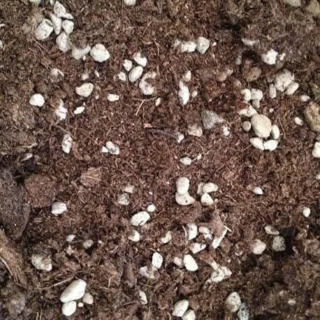 TORBA BIONDA DI SFAGNO E POMICE, LT 15. CON AGGIUNTA DI MULTICOTE HAIFA