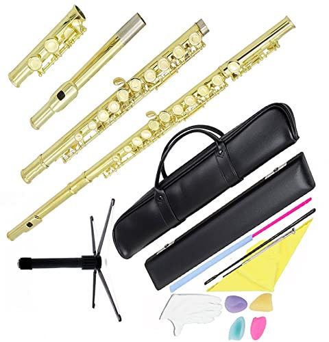 Flöte 16-Loch-C-Key-Flöte Mit Koffer, Rucksack, Reinigungsstab, Wischhandschuhe, Flötenzubehörteile (Color : Style 3)