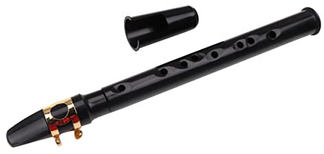 VICASKY 8-loch Taschensaxophon aus Kunststoff Kleiner Saxophon Tragbar und Handgefertigt Kleines Schwarzes Blasinstrument für Unterwegs