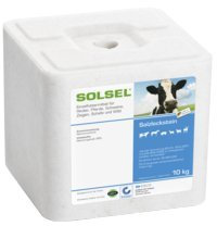Solsel Salzleckstein 10kg