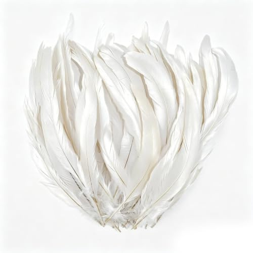 FYSL Natur Hahn Feder Hahnenfeder Fasanenfeder Federn zum Basteln Deko Federn für DIY Basteln Kostüme Kopfschmuck Ostern Halloween Weihnachten (Weiß, 25-30cm)