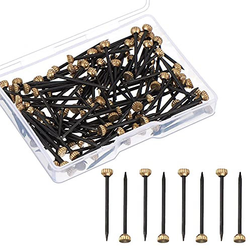 Bildernägel,50 Stück Messing Kopfstifte Nägel Stahlbildernägel Gehärtet Foto Haken Wandstifte 1 Zoll Lang Betonnägel mit Kunststoff Aufbewahrungsbox für Wandmontage
