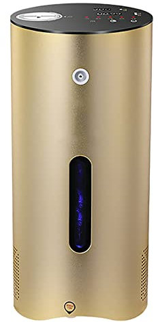 Macchina per inalazione di acqua di idrogeno H2 600 ml/min, generatore di acqua di idrogeno a basso rumore H2 ad alta purezza al 99,99% con 5 sistemi di rilevamen(Size:singola aspirazione,Color:oro)