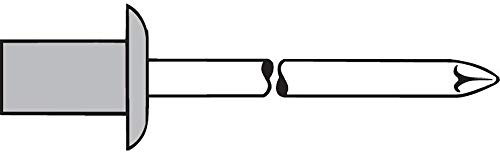 TPF Comercial 0007693323265 - Pack de 500 remaches ciegos (aluminio, inox, 3.2 x 6.5 mm)