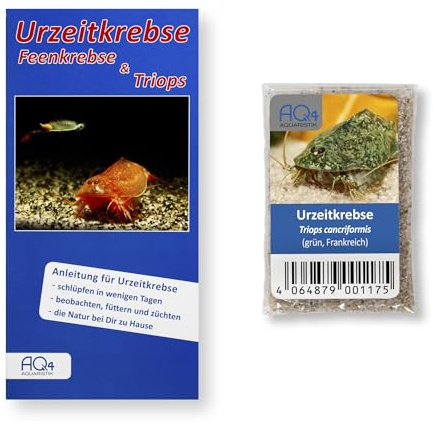 AQ4Aquaristik Triops cancriformis (grün, Frankreich) Zuchtansatz ca. 100 Urzeitkrebse Eier | Mit Anleitung, für Schlupf, Aufzucht und Beobachtung von Urzeitkrebsen, kräftig gemusterte Variante, Triopszucht