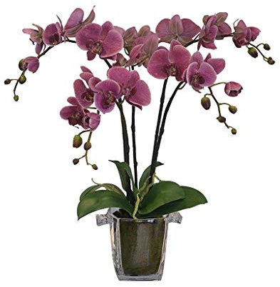 WOTZOV Decor Fiori Artificiali con Vaso Fiori Artificiali Decorativi con Vaso di Vetro, Pianta di Orchidea Phalaenopsis in Seta Artificiale Simulazione di Fiori Phalaenopsis Bon