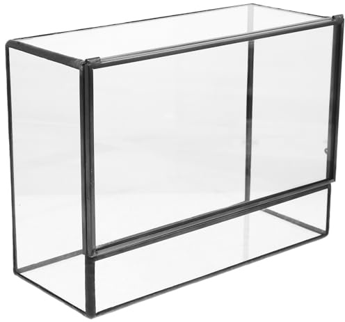 BESPORTBLE Glas Pflanzenterrarium Mikro Landschaftsbehälter für Moos Sukkulenten Klarglas Terrarienbox Multifunktional als Ökosystem Halterung für Wohnzimmer Büro Selbstgemacht