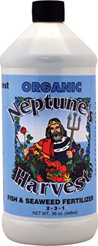 Neptune's Harvest Fish & Seaweed Liquid Fertilizer (2-3-1) - 36oz Bottle - Plant Food for Garden - Indoor & Outdoor Organic Plant Fertilizer for Vegetables, Flowers, Fruit, Trees & Lawns
