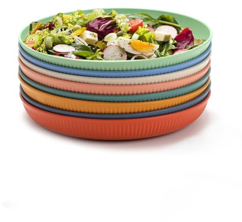 BERRYLION 8 Pcs Dinner Plates, 9 Inch Unbreakable Colorful Dinner Dishes, Reusable Plastic Plates, Microwave Dishwasher Safe, Perfect for Camping, Picnic, RV, Parties, BBQ